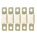 Victron MEGA Fuse 100A80V Package of 5 Pieces CIP138100020
