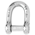 Wichard SelfLocking Allen Head Pin D Shackle  6mm Diameter  14 1303W